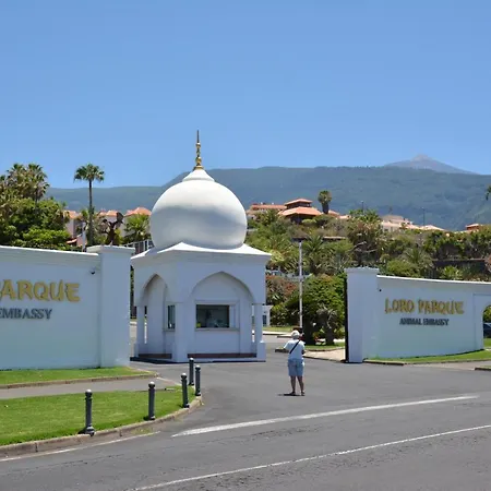 Apartamento Puerto De La Cruz - S De Sol Lägenhet